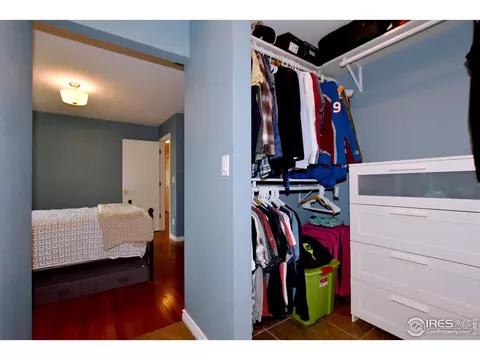 1048 Hemlock Dr, Windsor, CO 80550 photo 17