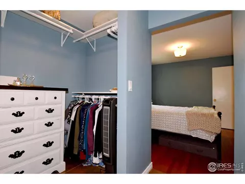 1048 Hemlock Dr, Windsor, CO 80550 photo 16