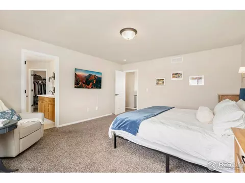 1018 Kendalbrook Dr, Windsor, CO 80550 photo 18