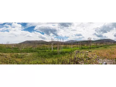 529 Quartz Rd, Bellvue, CO 80512