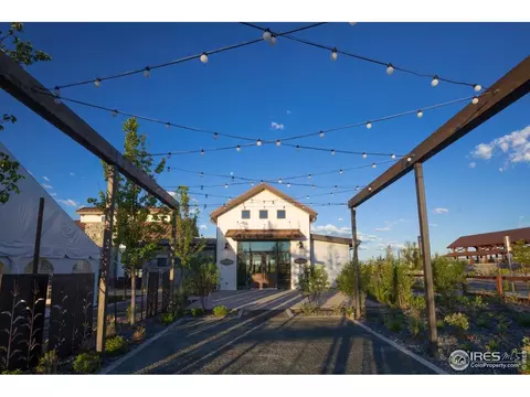 1877 Spring Bloom Dr, Windsor, CO 80550 photo 27