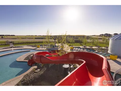 1877 Spring Bloom Dr, Windsor, CO 80550 photo 28