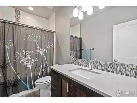 5830 Last Pointe Dr, Windsor, CO 80550 photo 25