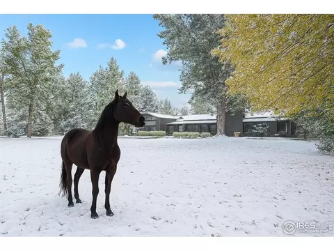 Other - 819 Gapter Rd, Boulder, CO 80303 photo 9 of 10