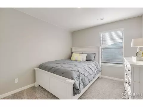 1960 Thundercloud Dr, Windsor, CO 80550 photo 16