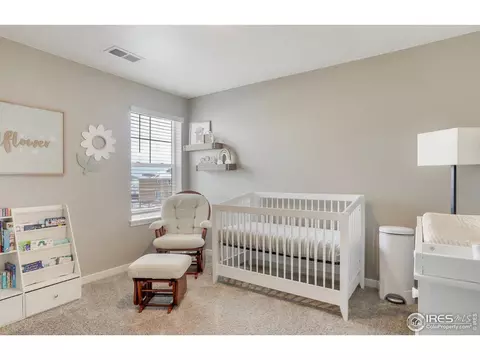 1960 Thundercloud Dr, Windsor, CO 80550 photo 15