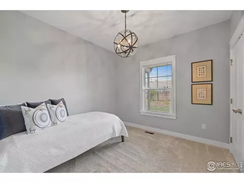 365 Amber Dr, Windsor, CO 80550 photo 19