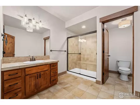 6558 Murano Dr, Windsor, CO 80550 photo 43