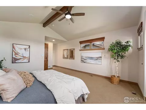 6558 Murano Dr, Windsor, CO 80550 photo 27
