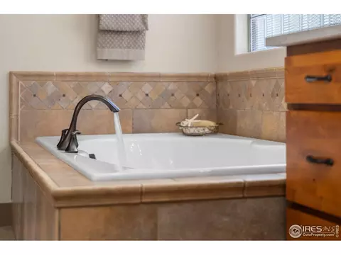 6558 Murano Dr, Windsor, CO 80550 photo 29