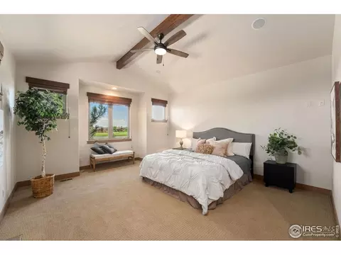 6558 Murano Dr, Windsor, CO 80550 photo 26