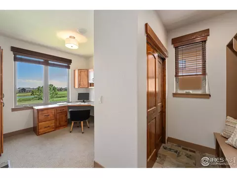 6558 Murano Dr, Windsor, CO 80550 photo 24