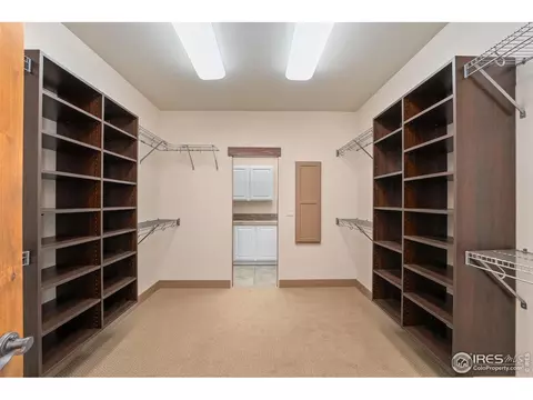 6558 Murano Dr, Windsor, CO 80550 photo 33