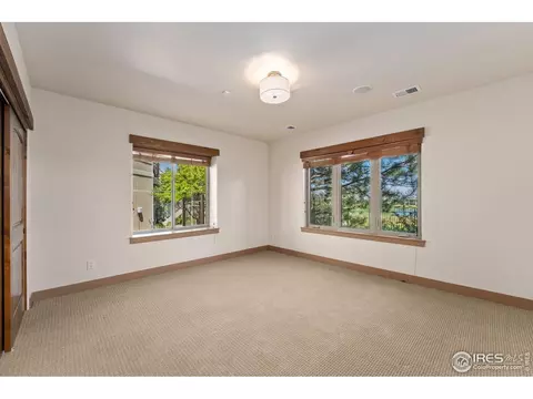 6558 Murano Dr, Windsor, CO 80550 photo 41