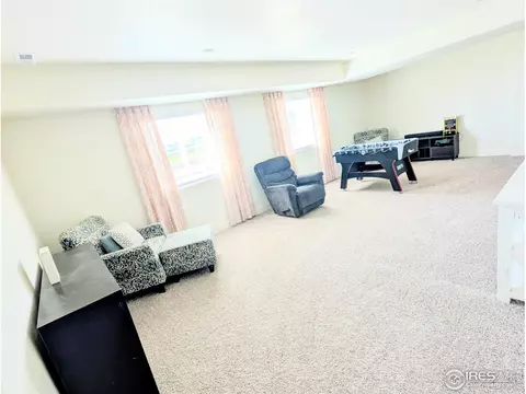 449 3rd St, Severance, CO 80550 photo 25