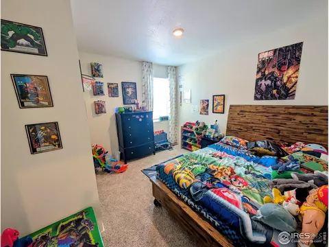 449 3rd St, Severance, CO 80550 photo 20