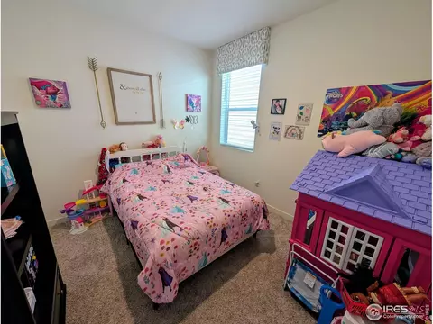 449 3rd St, Severance, CO 80550 photo 21