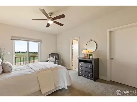 7397 Balcarrick Ct, Windsor, CO 80550 photo 23