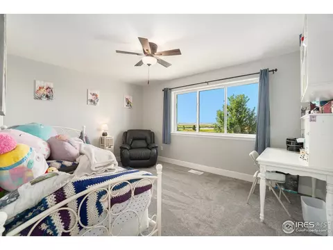 2184 Grain Bin Ct, Windsor, CO 80550 photo 13
