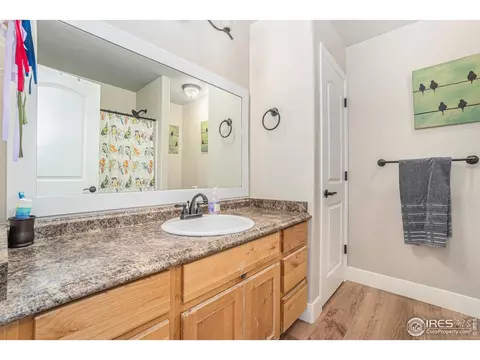 2184 Grain Bin Ct, Windsor, CO 80550 photo 16