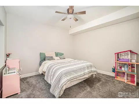 2184 Grain Bin Ct, Windsor, CO 80550 photo 18