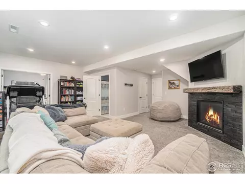 2184 Grain Bin Ct, Windsor, CO 80550 photo 17