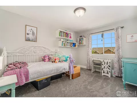 2184 Grain Bin Ct, Windsor, CO 80550 photo 12