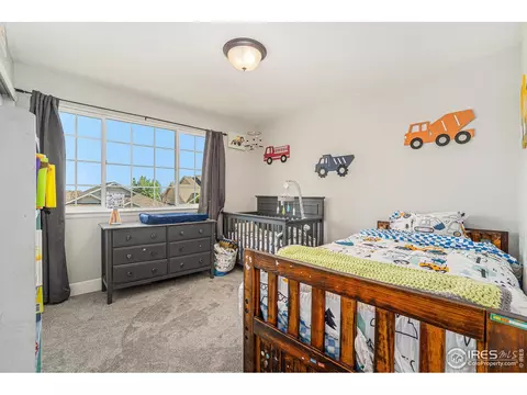 2184 Grain Bin Ct, Windsor, CO 80550 photo 14