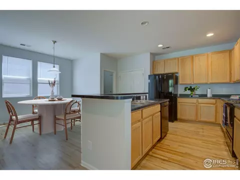 8152 E 29th Pl, Denver, CO 80238 photo 7