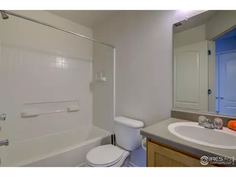 8152 E 29th Pl, Denver, CO 80238 photo 21