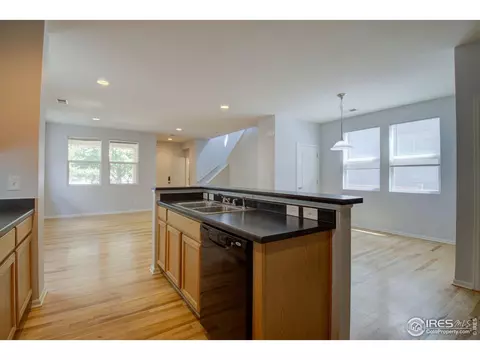 8152 E 29th Pl, Denver, CO 80238 photo 9
