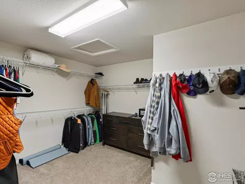 7782 E 131st Pl, Thornton, CO 80602 photo 17