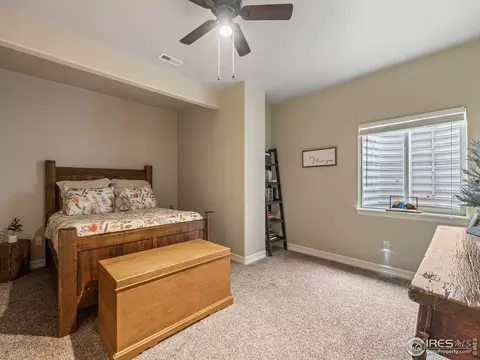 1814 Avery Plaza St, Windsor, CO 80550 photo 31