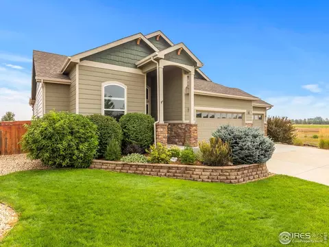 1814 Avery Plaza St, Windsor, CO 80550 photo 4