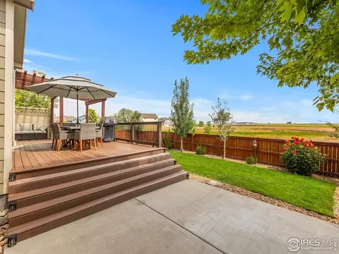 1814 Avery Plaza St, Windsor, CO 80550 photo 37