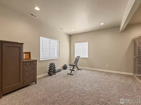 1814 Avery Plaza St, Windsor, CO 80550 photo 28