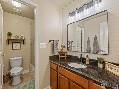 1814 Avery Plaza St, Windsor, CO 80550 photo 32