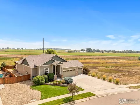 1814 Avery Plaza St, Windsor, CO 80550 photo 2