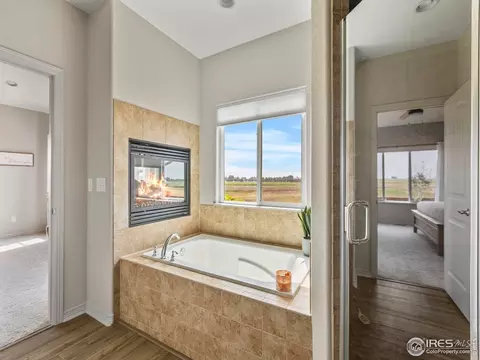 1814 Avery Plaza St, Windsor, CO 80550 photo 21