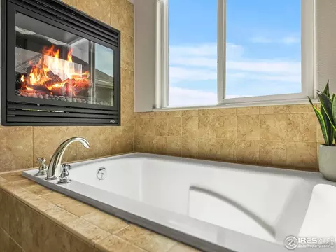 1814 Avery Plaza St, Windsor, CO 80550 photo 22
