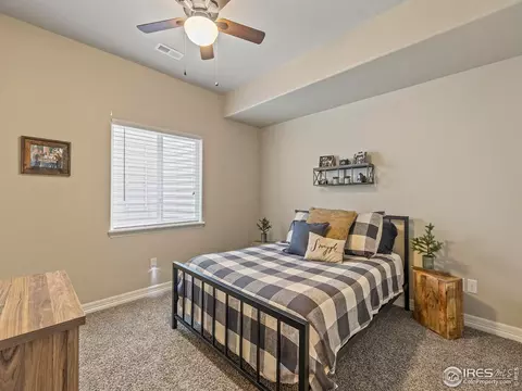 1814 Avery Plaza St, Windsor, CO 80550 photo 30