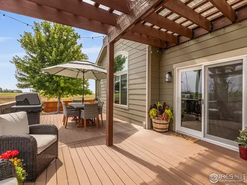 1814 Avery Plaza St, Windsor, CO 80550 photo 35