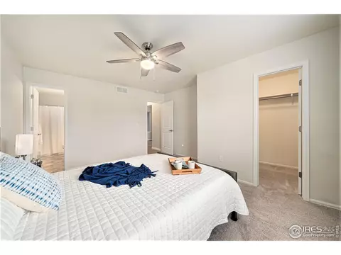 1060 Kendalbrook Dr, Windsor, CO 80550 photo 14