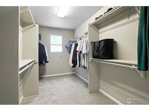 6015 Moran Rd, Timnath, CO 80547 photo 22