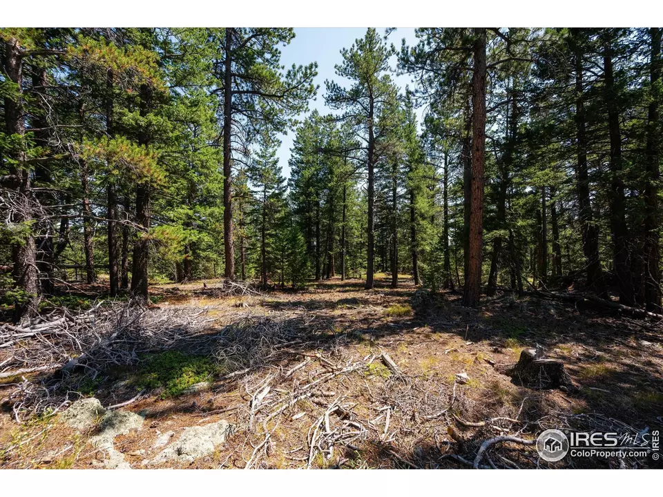 Other - 122 Elk Way, Drake, CO 80515 photo 12 of 17