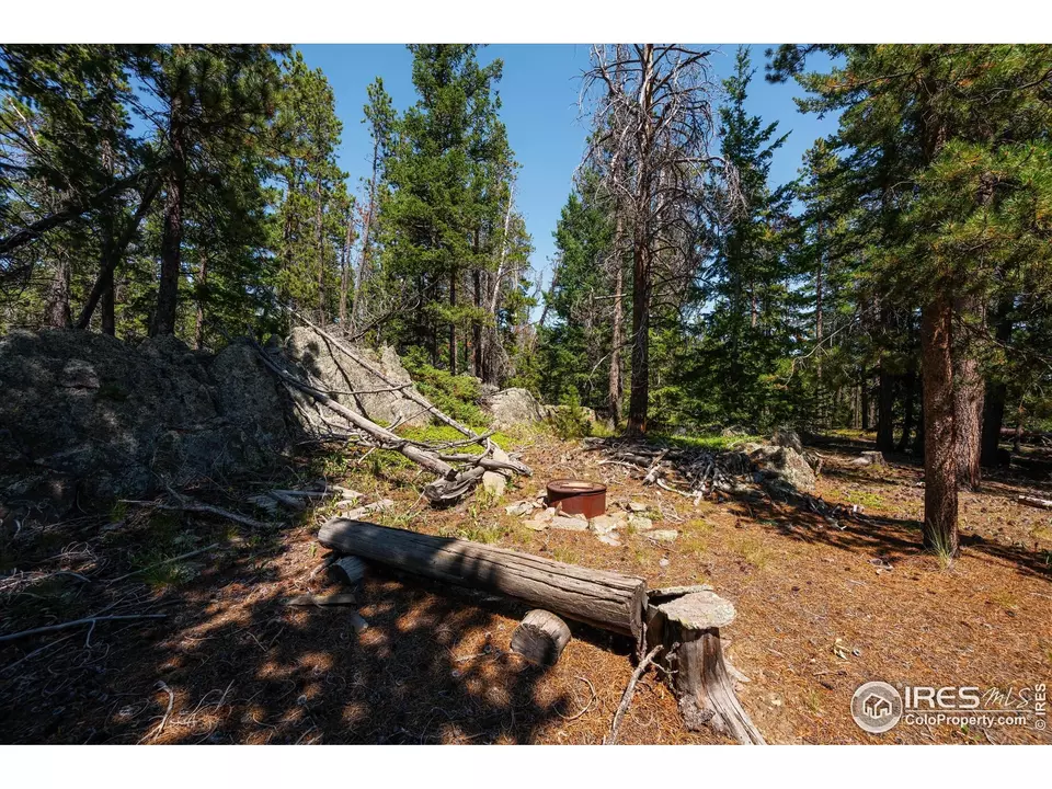 Other - 122 Elk Way, Drake, CO 80515 photo 10 of 17