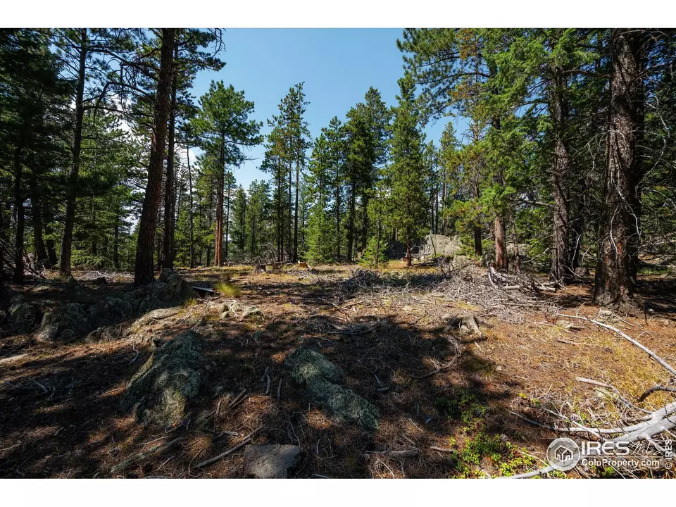 Other - 122 Elk Way, Drake, CO 80515 photo 11 of 17