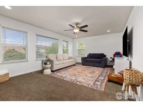 207 Bittern Dr, Johnstown, CO 80534 photo 18