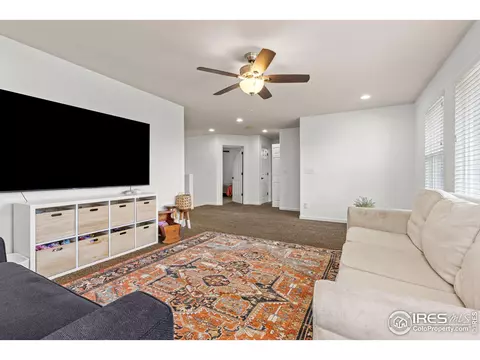 207 Bittern Dr, Johnstown, CO 80534 photo 17