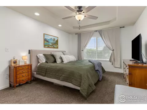207 Bittern Dr, Johnstown, CO 80534 photo 19